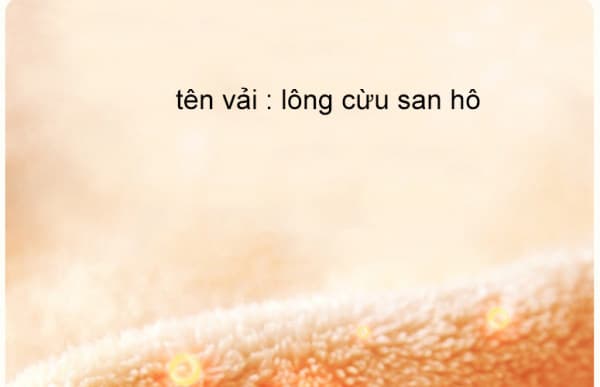 Ảnh chi tiết sản phẩm 3